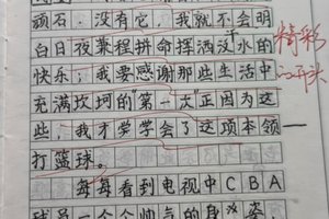 篮球训练过程作文400字四年级